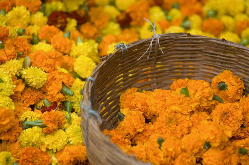 无人,横图,孟加拉国,印度,亚洲,花市,摄影,南亚,孟加拉人民共和国,加尔各答,印度次大陆,彩图