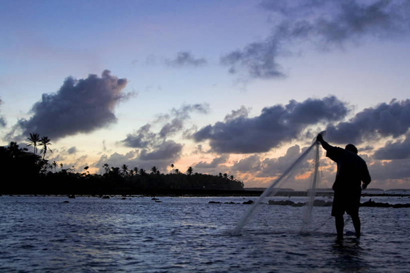 成年人,一个人,渔夫,横图,室外,海洋,日落,棕榈树,马绍尔群岛,密克罗尼西亚,仅一个男性,岛,黄昏,摄影,太平洋,热带气候,大洋洲,剪影,北太平洋,珊瑚岛,潟湖,男人,彩图,钓鱼