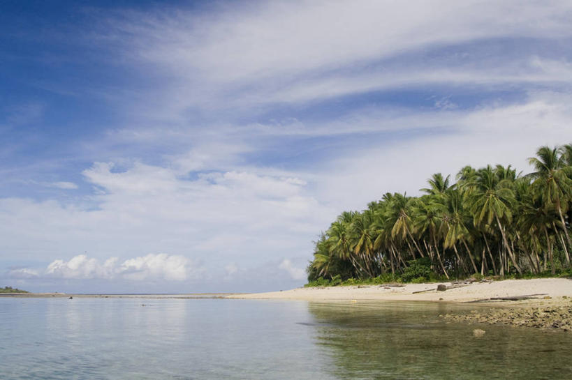 无人,横图,室外,海洋,棕榈树,马绍尔群岛,密克罗尼西亚,岛,地形,摄影,太平洋,热带气候,大洋洲,北太平洋,珊瑚岛,海滩,彩图