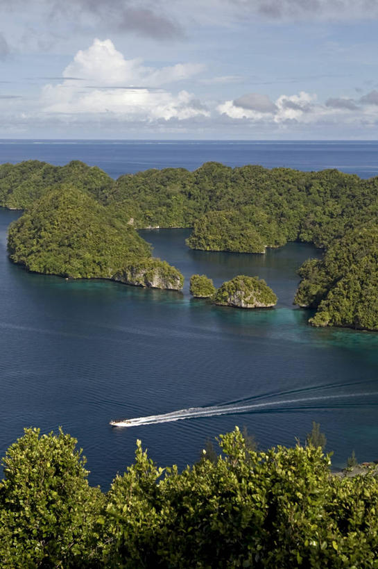 无人,竖图,俯视,室外,旅游,度假,密克罗尼西亚,帕劳,岛,地形,首都,风景,摄影,太平洋,热带气候,大洋洲,太平洋岛屿,彩图,高角度拍摄,旅行