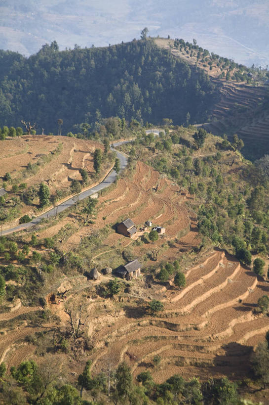 无人,竖图,室外,农业,梯田,路,尼泊尔,亚洲,地形,摄影,喜马拉雅山脉,卡纳塔克邦,彩图