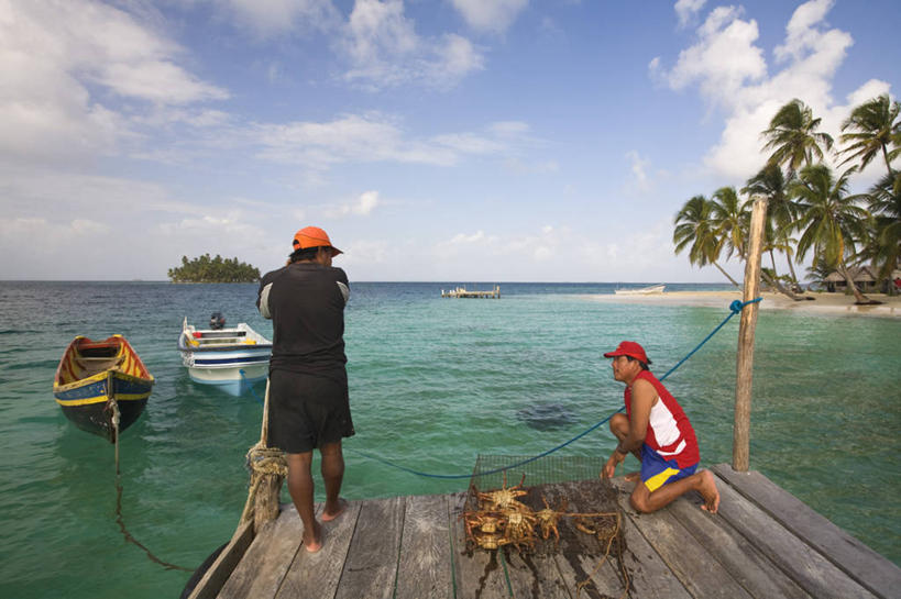 两个人,码头,横图,棕榈树,树,摄影,中美洲,拉丁美洲,彩图