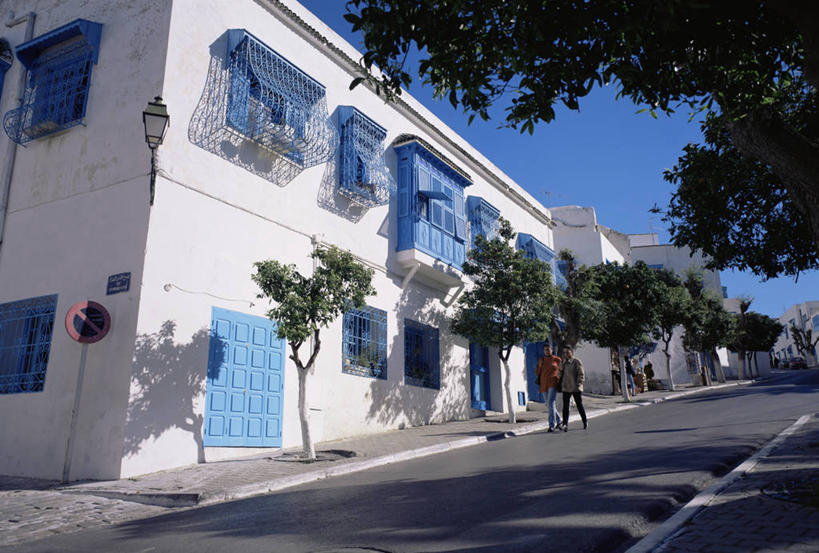 无人,横图,非洲,突尼斯,首都,白色,摄影,地中海,北非,彩图