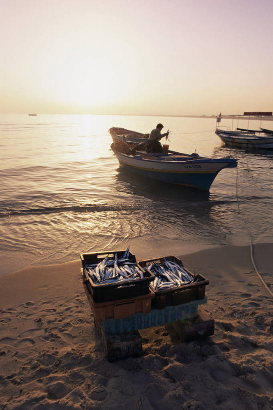 无人,竖图,室外,非洲,突尼斯,渔船,摄影,地中海,地中海文化,北非,哈马马特,海滩,彩图