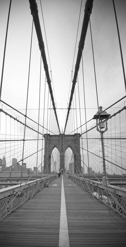 无人,竖图,室外,城市,纽约,美国,曼哈顿,摄影,吊桥,北美,布鲁克林桥,美国人,彩图,东河