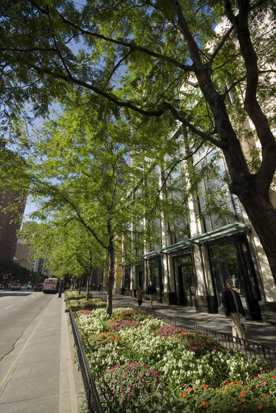 无人,竖图,城市,道路,路,公路,美国,交通,摄影,北美,市区,伊利诺斯州,芝加哥市,美国人,马路,彩图,华丽一英里