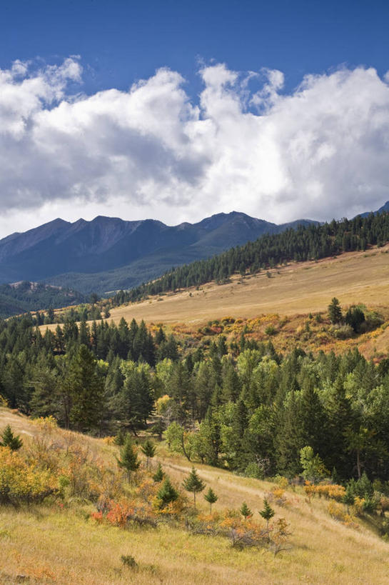 无人,竖图,室外,草原,美景,山,山脉,暴风雨,美国,地形,景观,自然,景色,摄影,北美,自然风光,蒙大拿州,美国人,彩图,大平原