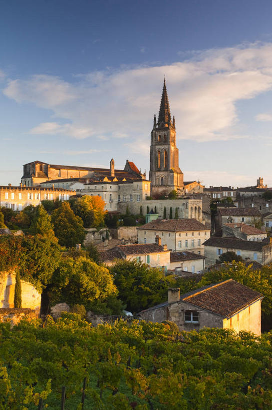 葡萄酒,无人,竖图,俯视,室外,白天,旅游,法国,欧洲,黎明,摄影,早晨,西欧,法兰西,法兰西共和国,阿基坦,法兰西第五共和国,亚魁当,吉伦特省,阿基坦大区,秋天,彩图,高角度拍摄,旅行,联合国教科文组织