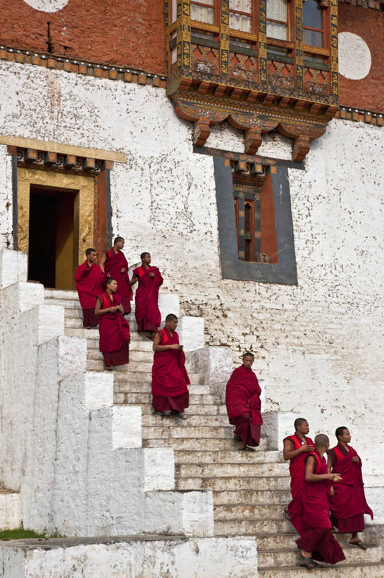 竖图,室外,白天,不丹,台阶,摄影,佛教,离开,宗教建筑,要塞,修道院,僧侣,彩图