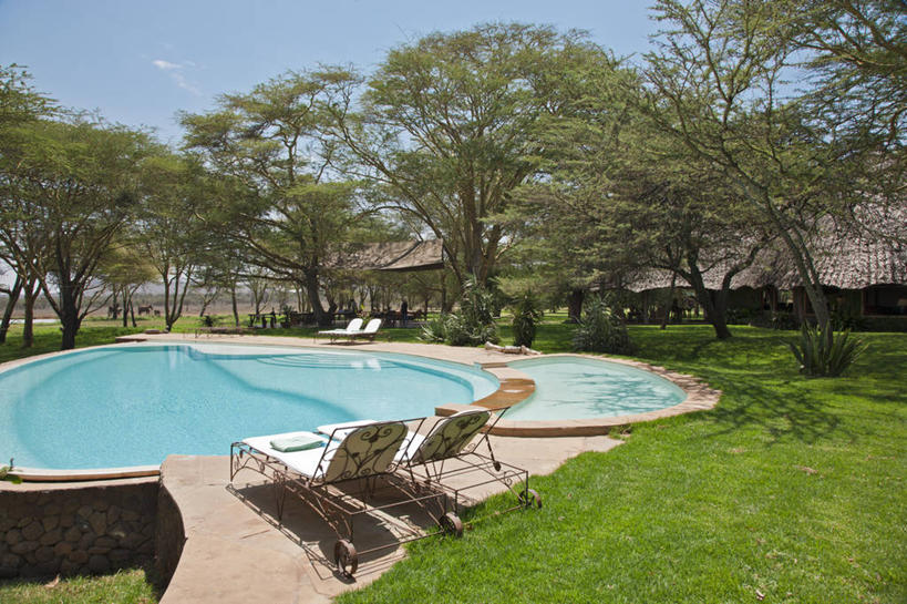 横图,室外,白天,哺乳动物,野生动物,非洲,马拉维,羚羊,动物,摄影,考古学,国家公园,野生动物保护区,东非,林羚,彩图