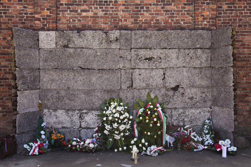 无人,博物馆,横图,室外,白天,蜡烛,欧洲,波兰,花环,庭院,花,摄影,纪念,留念,死亡,第二次世界大战,怀念,东欧,集中营,奥斯维辛,克拉科夫,彩图,纳粹主义,处决,大屠杀