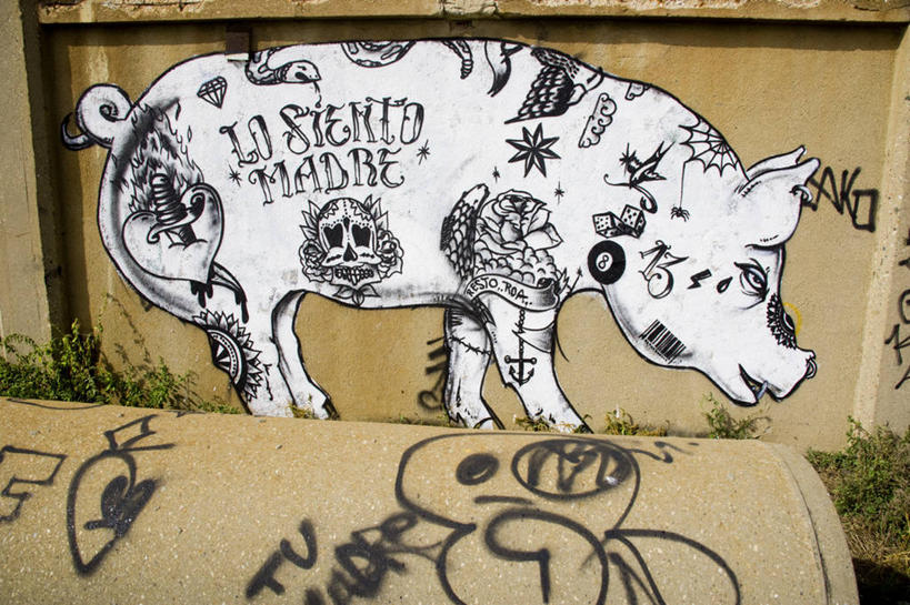 横图,街道,猪,西班牙,欧洲,巴塞罗那,艺术,艺术家,摄影,抗议,加泰隆尼亚,叛逆,美术工艺,彩图,旅行,涂鸦