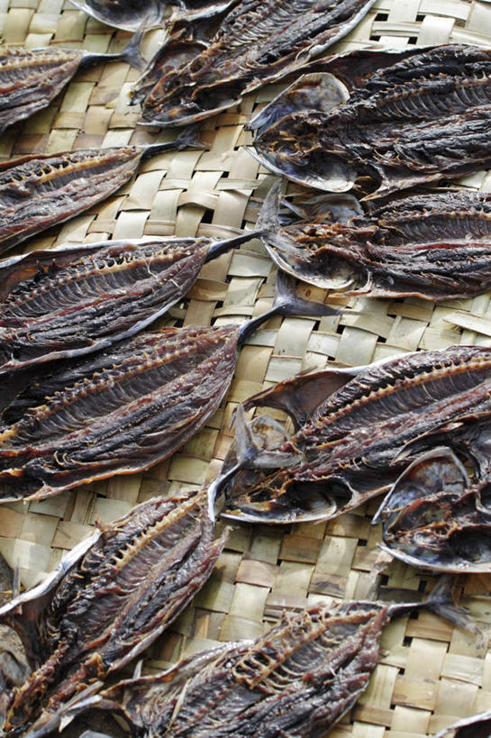 竖图,室外,渔业,印度,亚洲,切片,丰富,肉,鱼干,食品,骨头,肉类,鱼类,运输,摄影,收获,输送,肉食,喀拉拉邦,烘干,海产,彩图,旅行,传统文化