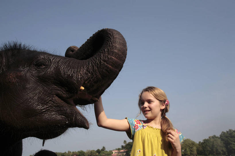 儿童,微笑,横图,快乐,通讯,印度,亚洲,会议,动物,面对面,童年,摄影,亚洲象,爱抚,喀拉拉邦,孤儿,女孩,象,触摸,彩图,旅行