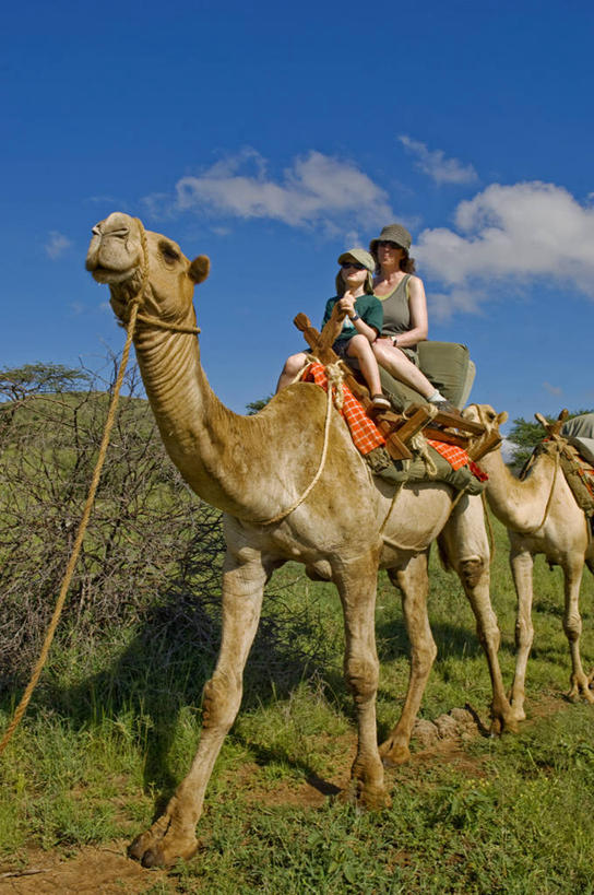 家庭,竖图,旅游,度假,非洲,肯尼亚,行人,游客,游人,路人,旅客,摄影,过客,冒险,彩图,旅行