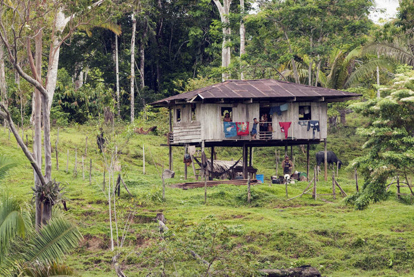 农场,横图,室外,农业,梯田,火山,秘鲁,田地,绿色,南美,摄影,拉丁美洲,反差,活火山,彩图,旅行