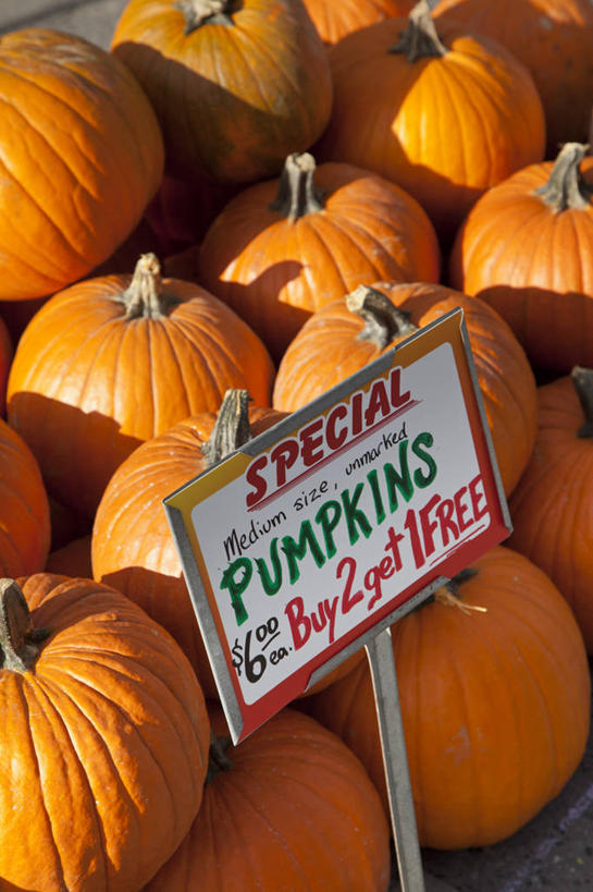 无人,竖图,俯视,室外,特写,白天,南瓜,纽约,美国,丰富,曼哈顿,市场,橙色,摄影,英文字母,简单,清新,价格标签,彩图,高角度拍摄