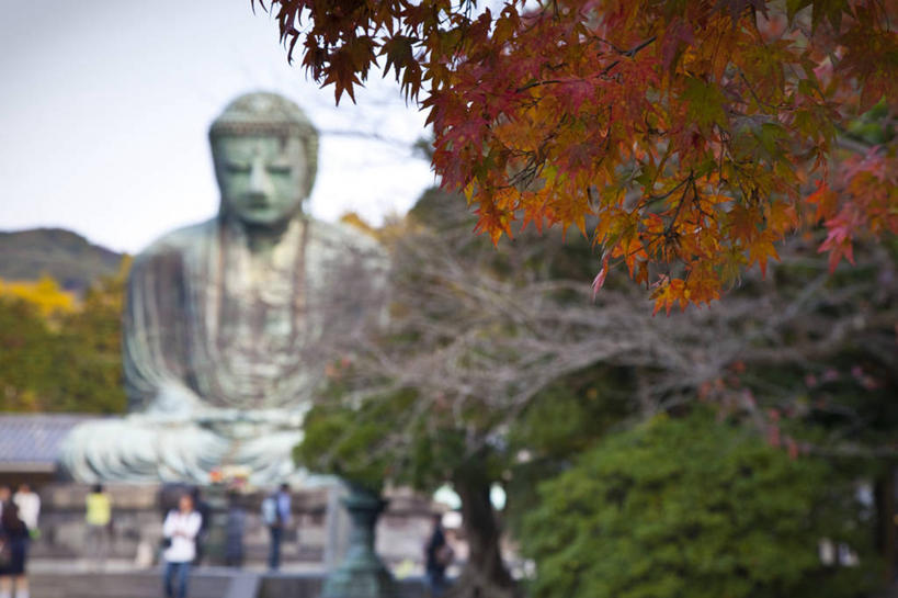 公园,横图,室外,白天,东京,日本,雕像,枝,首都,佛,树,摄影,镰仓,秋天,彩图,旅行