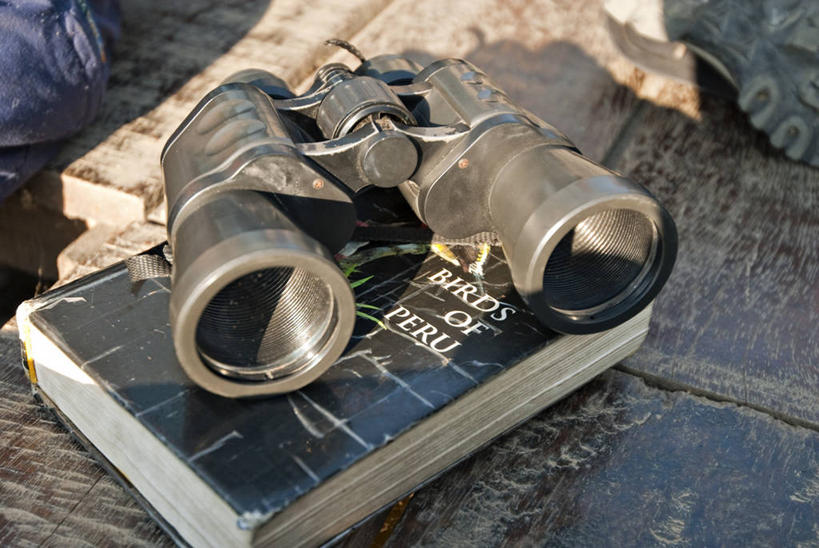 无人,横图,室外,白天,探险,秘鲁,南美,探索,摄影,双筒望远镜,书,彩图,亚马逊雨林,对焦,好奇心