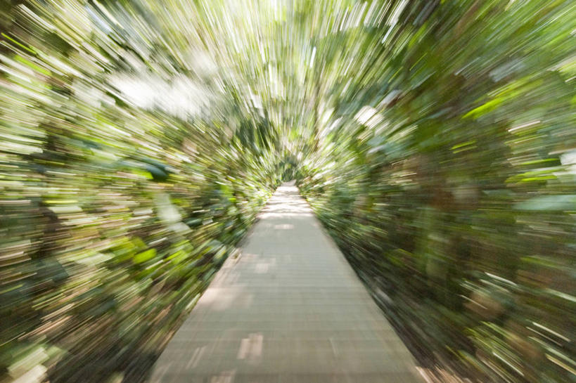 无人,横图,室外,白天,运动模糊,长时间曝光,秘鲁,小路,南美,摄影,人行桥,彩图,亚马逊雨林,对焦,雨林