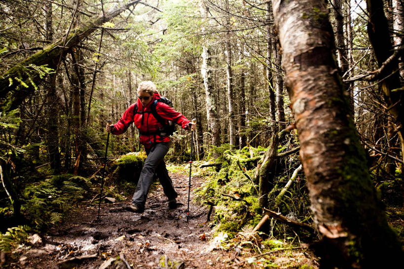 成年人,一个人,横图,室外,白天,锻炼,旅游,度假,探险,森林,美国,仅一个年轻女性,仅一个女性,仅一个人,小路,娱乐,树,享受,休闲,放松,活力,摄影,北美,北美洲,美洲,新罕布什尔州,登山杖,北亚美利加洲,亚美利加洲,新罕布什尔,新罕布夏州,花岗岩州,花冈岩之州,滑雪之州,新英格兰,纽英仑,冒险,年轻女性,女人,女性,年轻人,休闲活动,彩图,美利坚合众国,越野行走