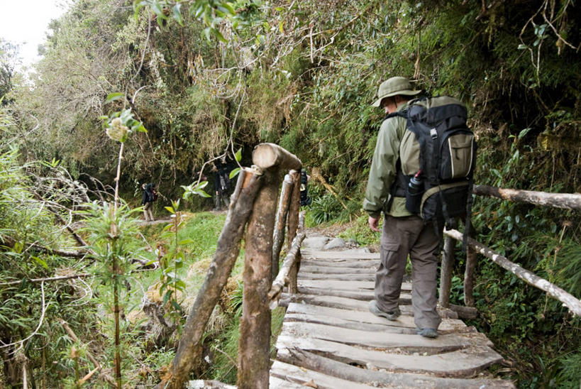 成年人,一个人,横图,室外,白天,留白,旅游,度假,探险,秘鲁,仅一个男性,仅一个人,木制,娱乐,仅一个年轻男性,背面,享受,休闲,放松,摄影,人行桥,背包客,印加遗迹,冒险,男人,男性,年轻男性,年轻人,休闲活动,彩图,对焦