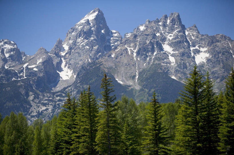 无人,横图,室外,白天,森林,山,山脉,雪,雪山,美国,宏伟,树,风景,摄影,怀俄明,蛇河,杰克逊霍尔,彩图,对焦