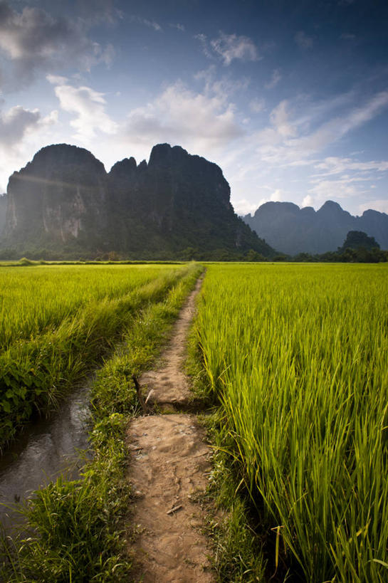 无人,竖图,室外,白天,农业,农作物,山,老挝,稻田,田地,小路,首都,风景,摄影,生长,岩层,万象,万荣,岩石,彩图,对焦