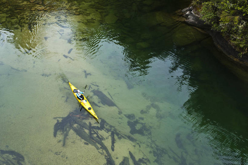 西方人,成年人,中年人,一个人,横图,俯视,室外,白天,留白,度假,欧洲,新西兰,欧洲人,仅一个女性,仅一个人,反射,仅一个中年女性,摄影,艾贝尔塔斯曼国家公园,新西兰南岛,尼尔森,女人,女性,中年女性,白种人,半身,彩图,高角度拍摄,旅行,对焦