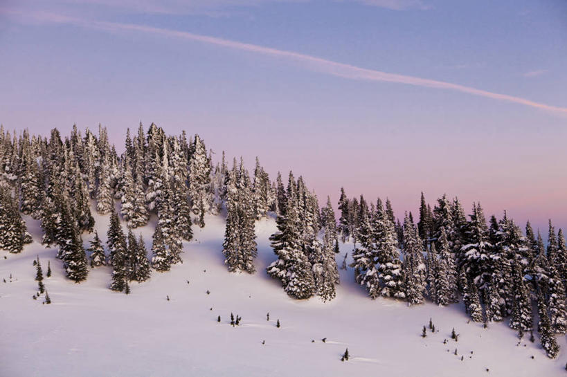 无人,公园,横图,室外,留白,日落,森林,雪,华盛顿,美国,冬天,树,风景,黄昏,寒冷,摄影,北美,北美洲,国家公园,美洲,华盛顿州,雷尼尔山国家公园,瑞尼尔山国家公园,常绿之州,常青州,北亚美利加洲,亚美利加洲,彩图,旅行,皮尔斯县,对焦