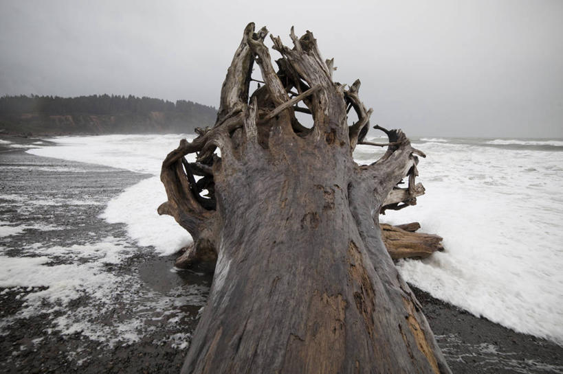 无人,横图,室外,白天,留白,长时间曝光,海洋,水,美国,浮木,海岸线,风景,波浪,摄影,华盛顿州,海滩,彩图,对焦