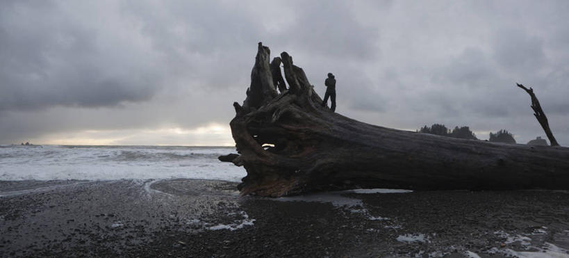 一个人,横图,全景,室外,留白,海洋,日落,水,美国,朦胧,模糊,浮木,云,背面,风景,黄昏,摄影,华盛顿州,海滩,彩图,对焦