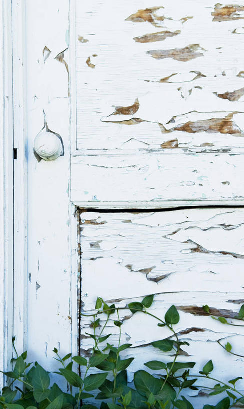 无人,竖图,室外,白天,门,叶子,美国,废弃,自然,藤蔓,摄影,生长,报废,废物,剥落,丢弃,放弃,抛弃,内华达州,藤蔓植物,摈弃,破败,里诺,彩图,屏弃,摈斥,摒除,对焦