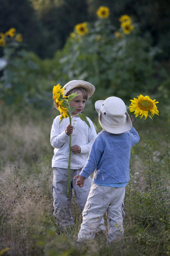 西方人,儿童,两个人,家庭,兄弟,竖图,室外,白天,留白,纯洁,向日葵,帽子,欧洲,美国,欧洲人,庭院,拿着,草,花,小孩,背面,黄色,遮阳帽,面对面,可爱,童年,童趣,摄影,童真,烂漫,无邪,马萨诸塞,天真,男孩,男性,白种人,孩子,彩图,对焦,贝弗利