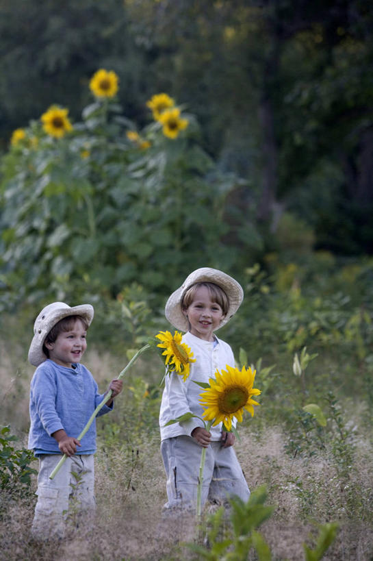 西方人,儿童,两个人,家庭,兄弟,微笑,竖图,室外,白天,留白,幸福,纯洁,向日葵,帽子,欧洲,美国,欧洲人,庭院,拿着,草,花,小孩,黄色,遮阳帽,可爱,童年,童趣,摄影,童真,烂漫,无邪,马萨诸塞,天真,男孩,男性,白种人,孩子,彩图,对焦,贝弗利
