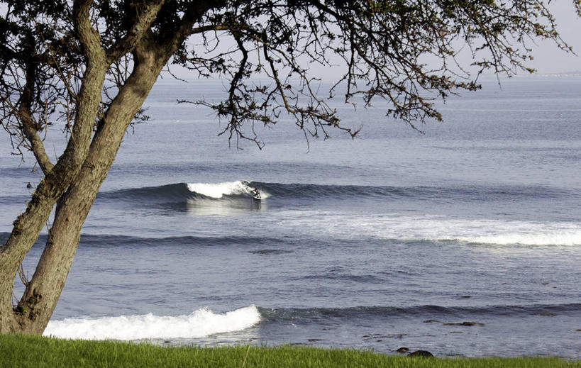 冲浪,一个人,横图,室外,白天,海浪,海洋,美国,朦胧,模糊,树,摄影,挑战,冒险,海滩,彩图