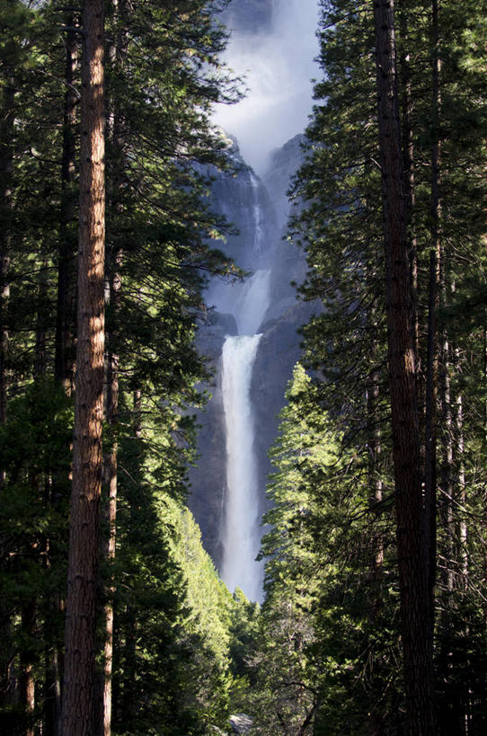 无人,公园,竖图,室外,白天,旅游,度假,美景,瀑布,森林,水,美国,飞溅,溅,液体,景观,流水,水滴,娱乐,水珠,树,风景,自然,享受,休闲,景色,放松,摄影,北美,北美洲,国家公园,喷洒,加利福尼亚,自然风光,约塞米蒂国家公园,美洲,加州,加利福尼亚州,优胜美地国家公园,金州,黄金州,北亚美利加洲,亚美利加洲,美国尤塞米提国家公园,优山美地,约瑟米提国家公园,跌水,彩图,优胜美地瀑布,幽思美地瀑布,约塞米蒂瀑布,美利坚合众国