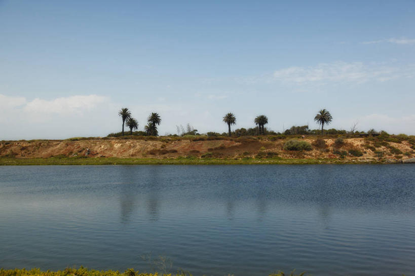 无人,横图,室外,白天,海洋,美景,美国,反射,景观,云,树,风景,自然,景色,摄影,宁静,加利福尼亚,自然风光,潘塔纳尔湿地,彩图