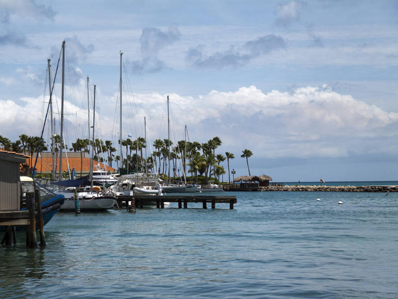 无人,横图,室外,白天,海洋,水,船,棕榈树,停靠,波纹,云,游艇,天空,运输,摄影,宁静,停泊,游艇码头,帆樯,桅竿,彩图,帆柱