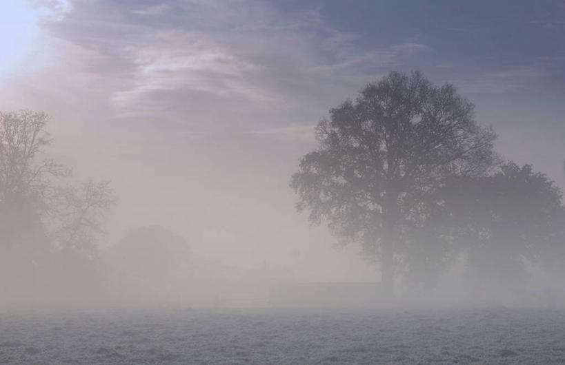 无人,横图,室外,白天,雪,日光,法国,地形,冬天,树,风景,寒冷,摄影,宁静,剪影,彩图