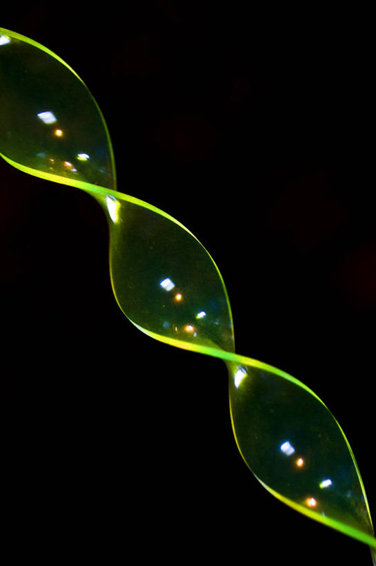 无人,竖图,特写,美国,黑色背景,装饰,缠绕,反射,塑胶,黄色,摄影,简单,美术工艺,彩图,影棚拍摄