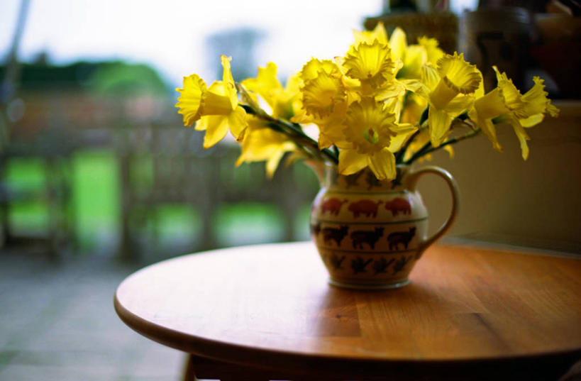 无人,横图,室内,白天,桌子,水仙花,花瓶,英国,木制,花,摄影,脆弱,清新,彩图