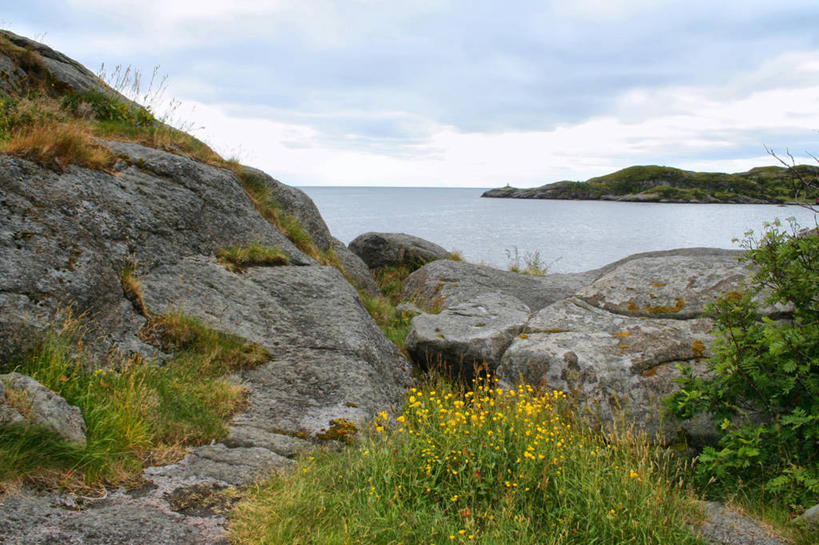 无人,横图,室外,白天,海洋,挪威,云,野花,自然,摄影,生长,宁静,清新,岩石,彩图