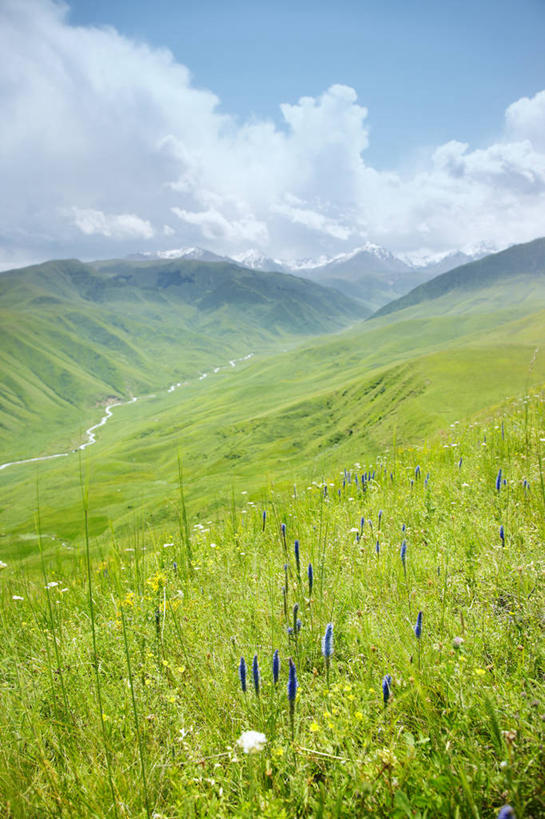 无人,竖图,室外,白天,草地,河流,美景,山,山脉,雪,哈萨克斯坦,地形,景观,云,草,风景,天空,自然,景色,摄影,宁静,自然风光,阿拉木图,彩图