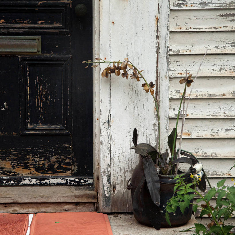 无人,方图,室外,白天,门,建筑,花盆,美国,废弃,关闭,花,自然,摄影,生长,报废,保护,废物,封闭,丢弃,放弃,抛弃,摈弃,兰花,彩图,屏弃,摈斥,摒除