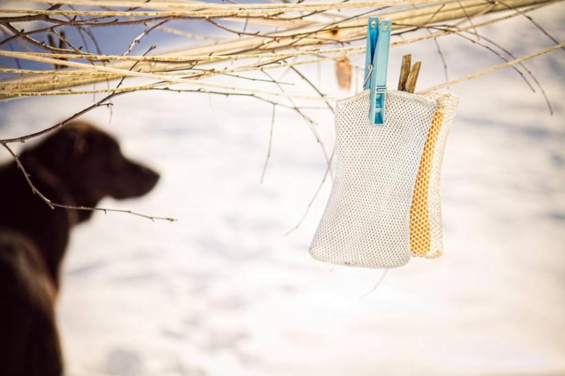 无人,横图,室外,白天,雪,狗,美国,寒冷,摄影,衣夹,马里兰,烘干,彩图,浴用海绵