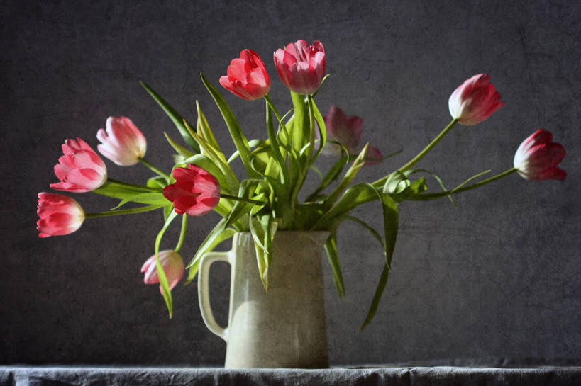 无人,横图,室内,郁金香,加拿大,水壶,花,粉色,花束,摄影,古董,脆弱,清新,彩图