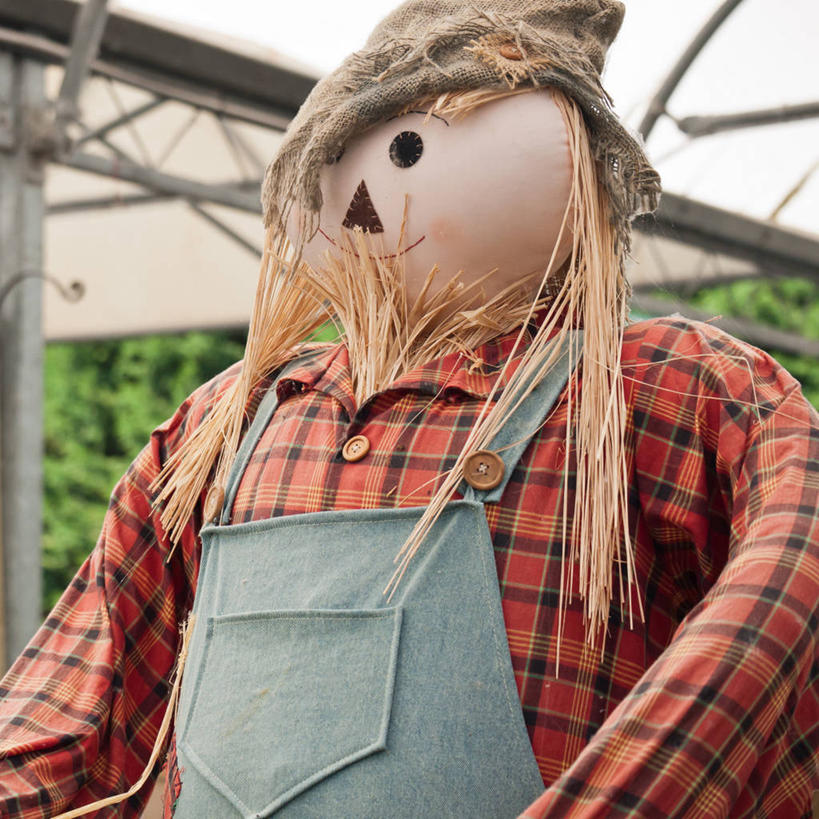 无人,方图,室外,特写,白天,农业,英国,稻草,休闲装,摄影,想法,彩图,传统文化