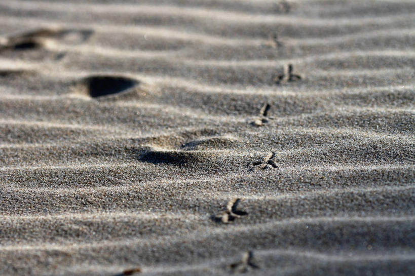 无人,横图,室外,特写,白天,德国,欧洲,脚印,沙子,自然,摄影,宁静,西欧,德意志联邦共和国,梅克伦堡.前波美拉尼亚州,梅克伦堡.前波美拉尼亚,海滩,彩图,吕根县