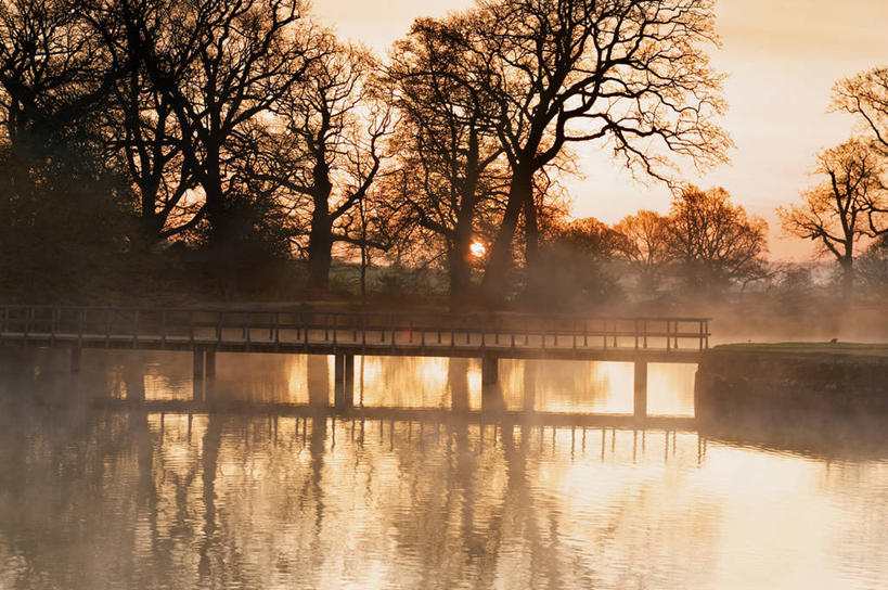 无人,横图,室外,雾,英国,反射,黎明,联系,树,天空,自然,摄影,人行桥,宁静,早晨,彩图